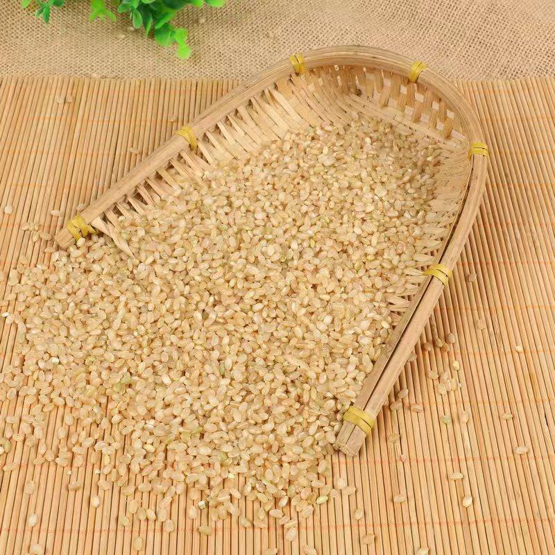 糙米现货批发糙米东北胚芽米玄米五谷杂粮粗粮袋装47斤