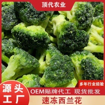 速冻西兰花西兰花碎漳州本地原料优质冷冻西兰花碎有货