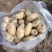 大丰黄心土豆🥔基地一手货源，农户直销全国代发