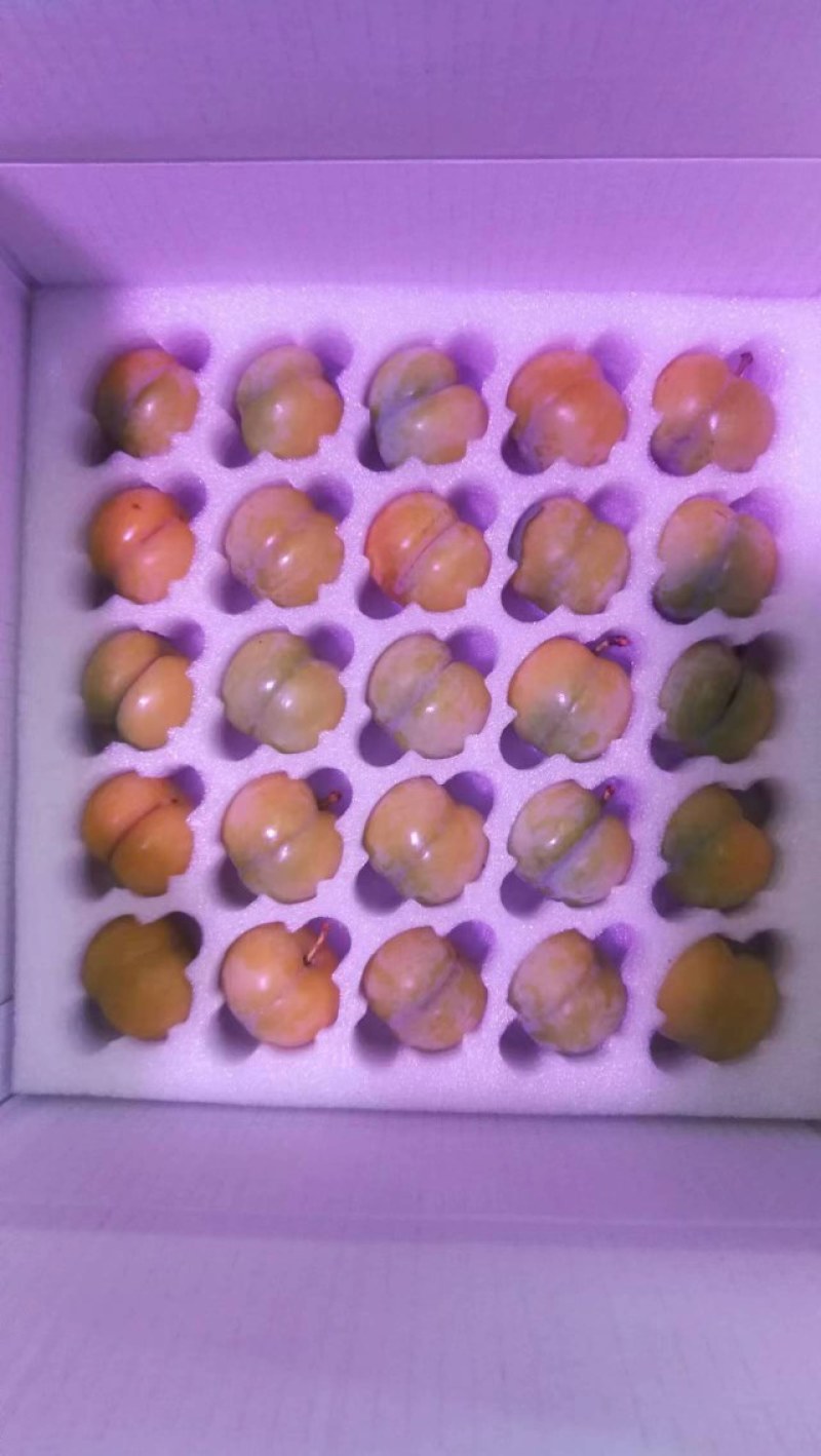 正宗贵州六马蜂糖李