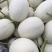 玉菇甜瓜，冰激凌甜瓜，滑县万亩甜瓜大量上市中
