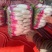 精品花叶罗卜产地直销可视频看货按需包装诚信经营对接全国