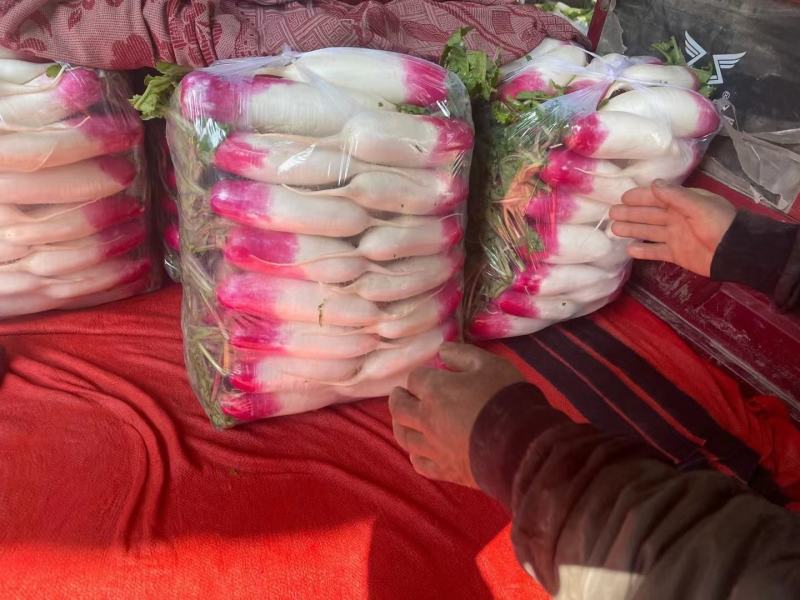 精品花叶罗卜产地直销可视频看货按需包装诚信经营对接全国