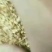 大量生产糖蜜豆皮糖蜜麸皮，豆粕小料，需要的及时联系我