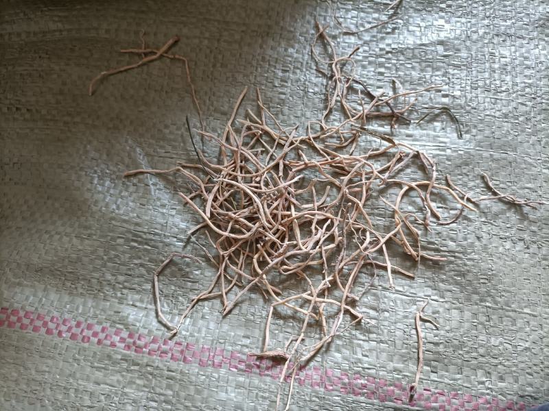 正品麦冬长期有货随时可聊品质保障