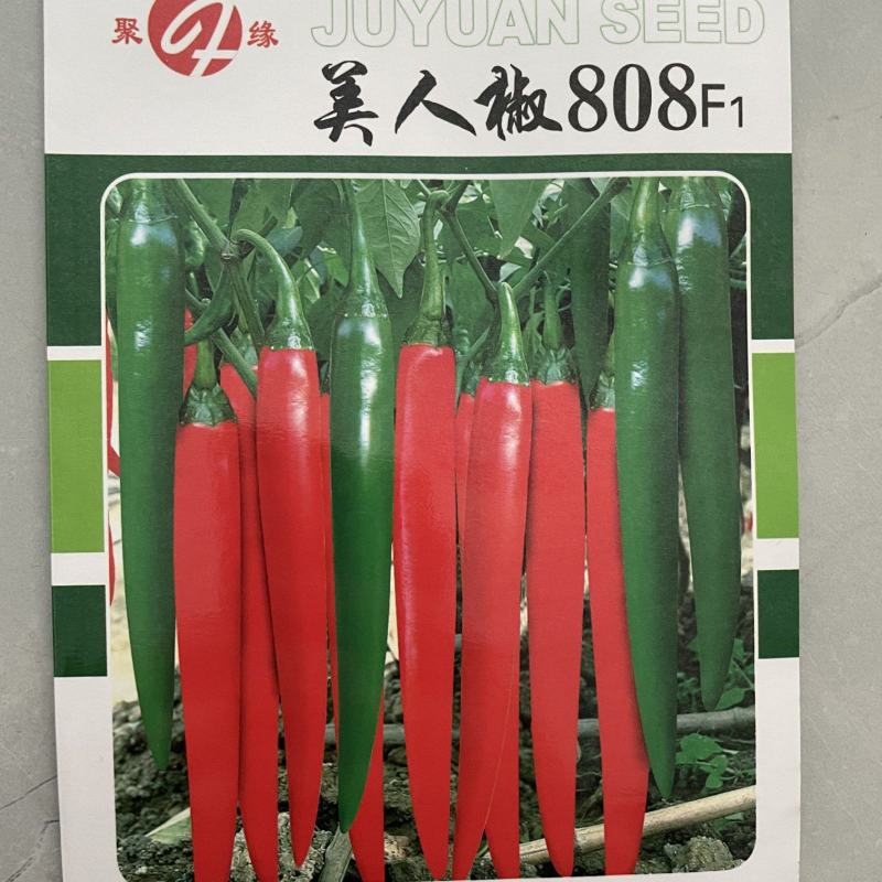 美人椒808辣椒种子，1000粒