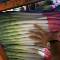 粗高精品晚抽大葱，无花苞，里外一样，细葱单挑，里外干净