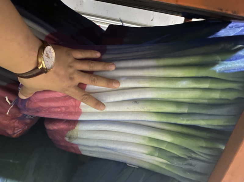 粗高精品晚抽大葱，无花苞，里外一样，细葱单挑，里外干净