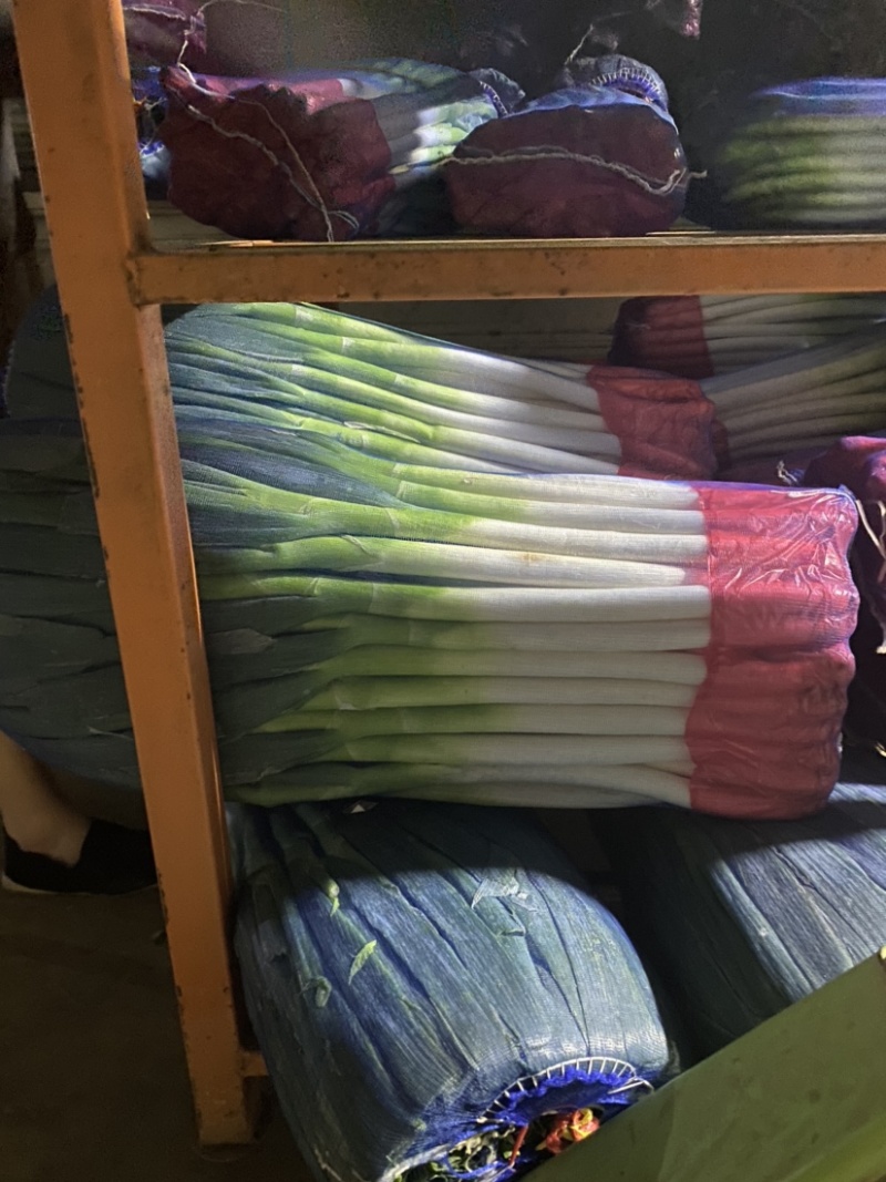 粗高精品晚抽大葱，无花苞，里外一样，细葱单挑，里外干净