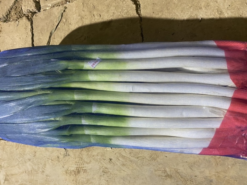 粗高精品晚抽大葱，无花苞，里外一样，细葱单挑，里外干净