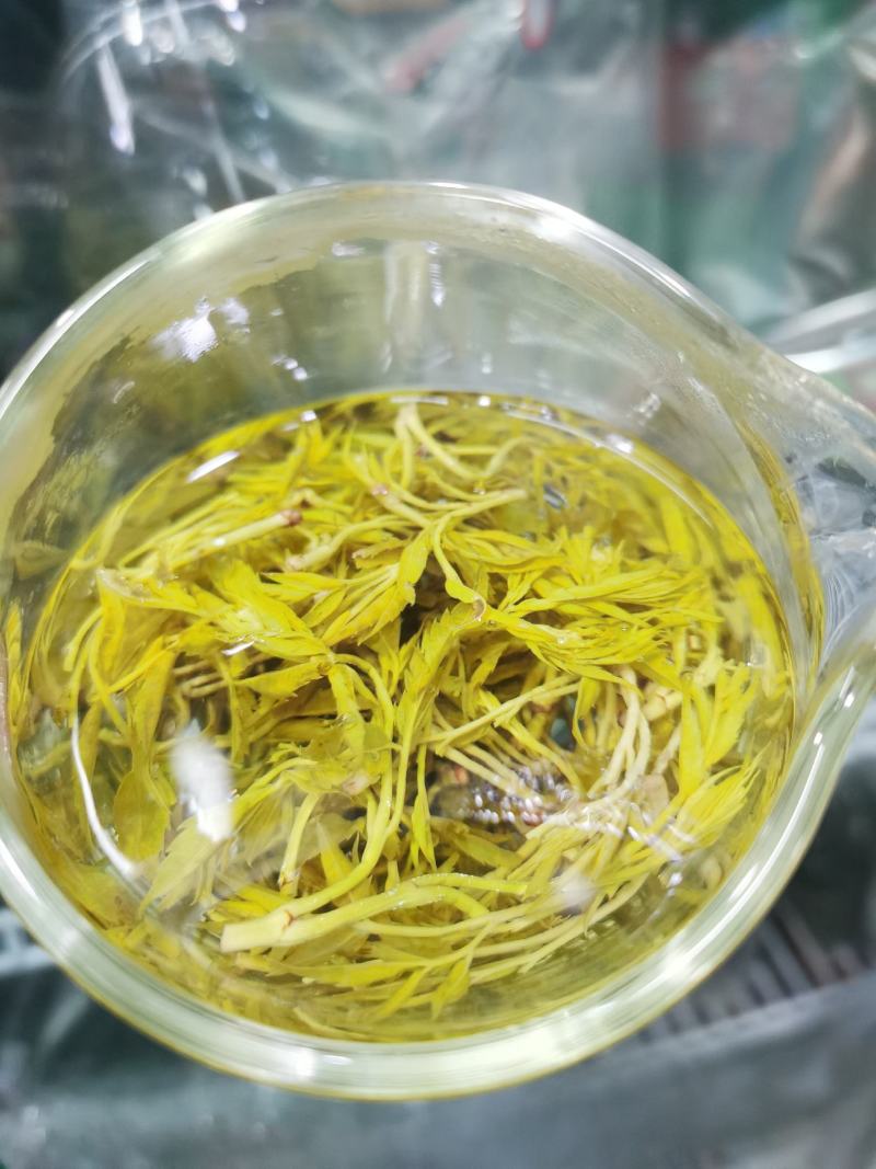 来凤富硒藤茶2022明前特级芽尖茶养生保健代茶饮清咽利喉