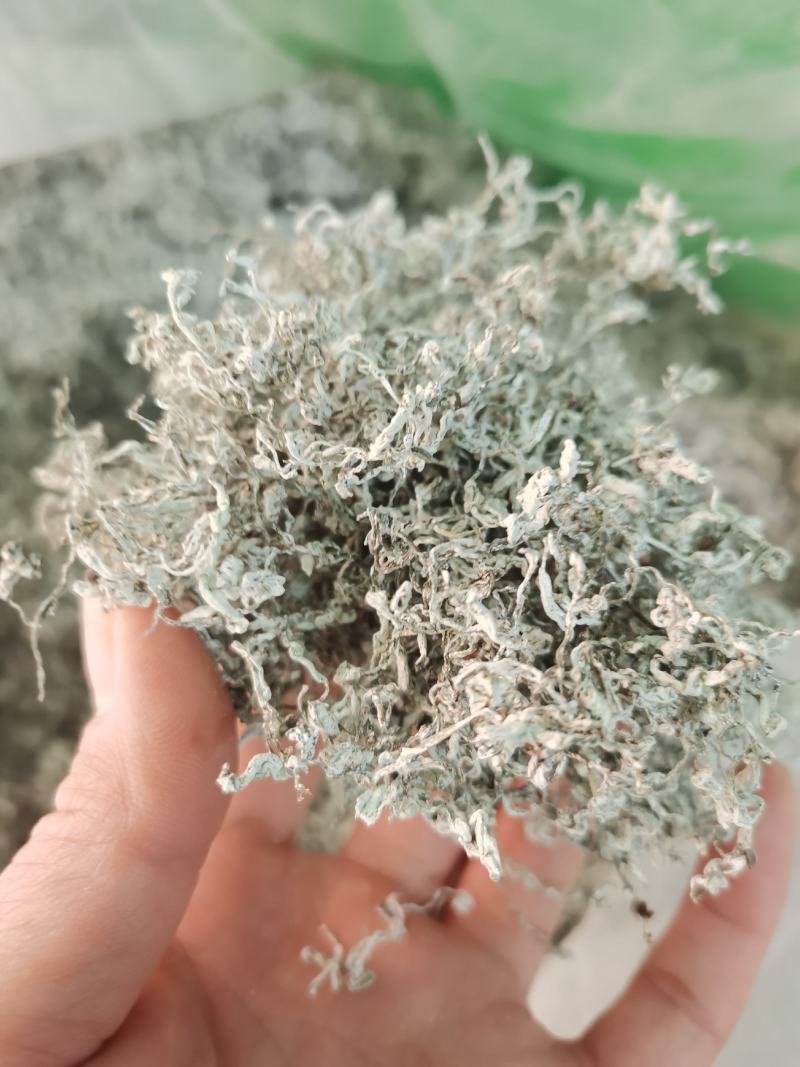 来凤富硒藤茶2022明前特级芽尖茶养生保健代茶饮清咽利喉