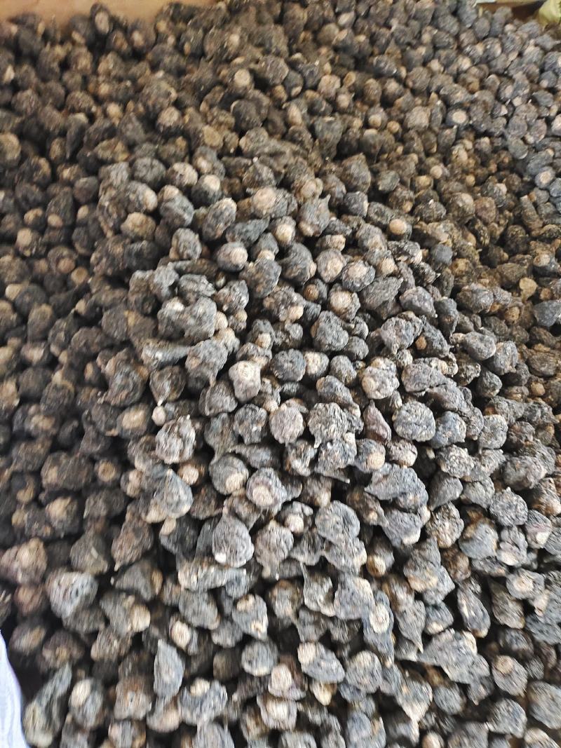 云南黑玛咖干果片煲汤泡酒料泡茶玛卡云南丽江野生玛卡片
