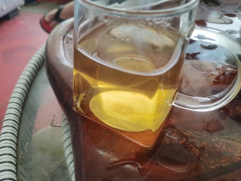 云南普洱墨江凤凰山生态古树茶