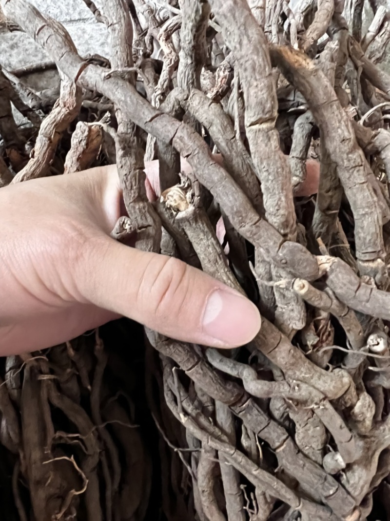 黑老虎根过山风小根纯阴枝足干无硫