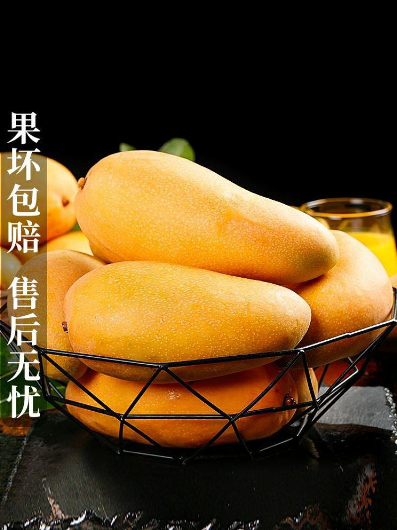 海南金煌芒果大客专享可一件代发非贵妃非小台现货包邮10斤