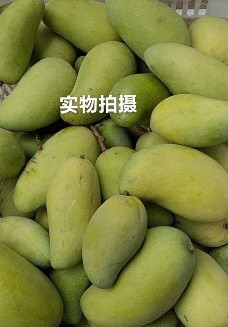 海南金煌芒果大客专享可一件代发非贵妃非小台现货包邮10斤
