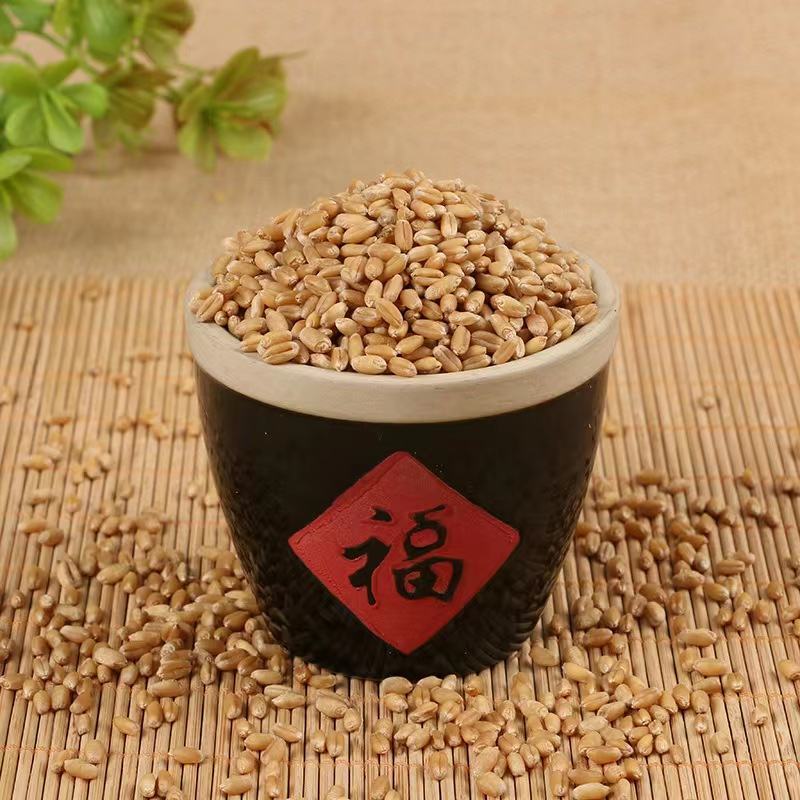小麦现货批发带皮小麦酿酒磨面，原料，每袋50，