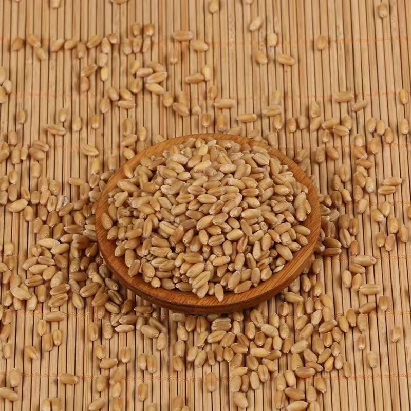 小麦现货批发带皮小麦酿酒磨面，原料，每袋50，