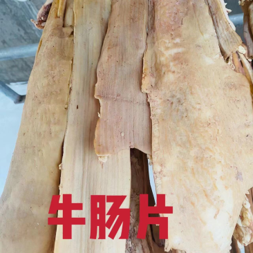 牛肠片