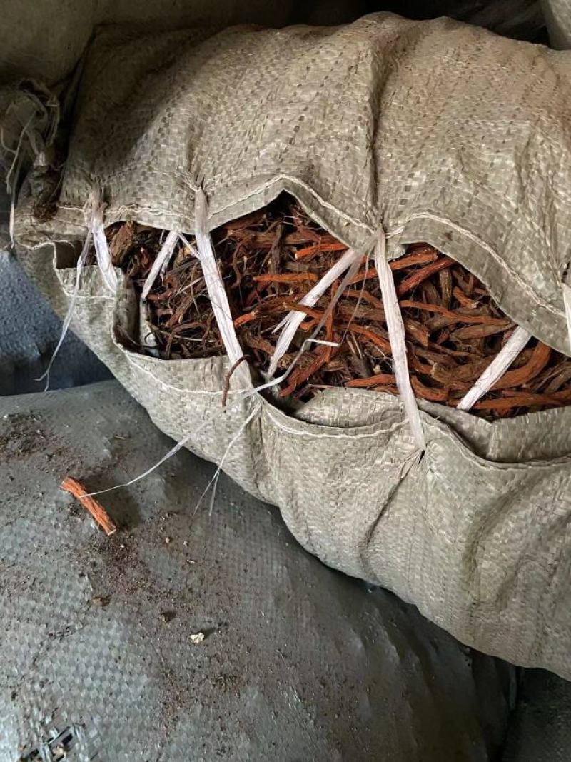 丹参苗载30吨大统货未抽条苗载药厂货20吨