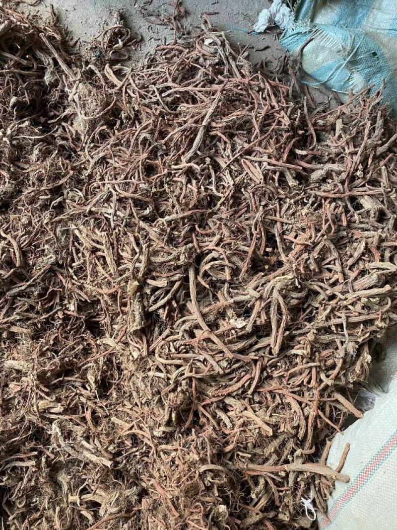 丹参苗载30吨大统货未抽条苗载药厂货20吨