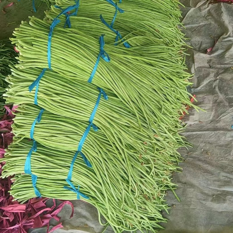 《图片加我威》青豆角大量上市不收客户费用，把你微留给我