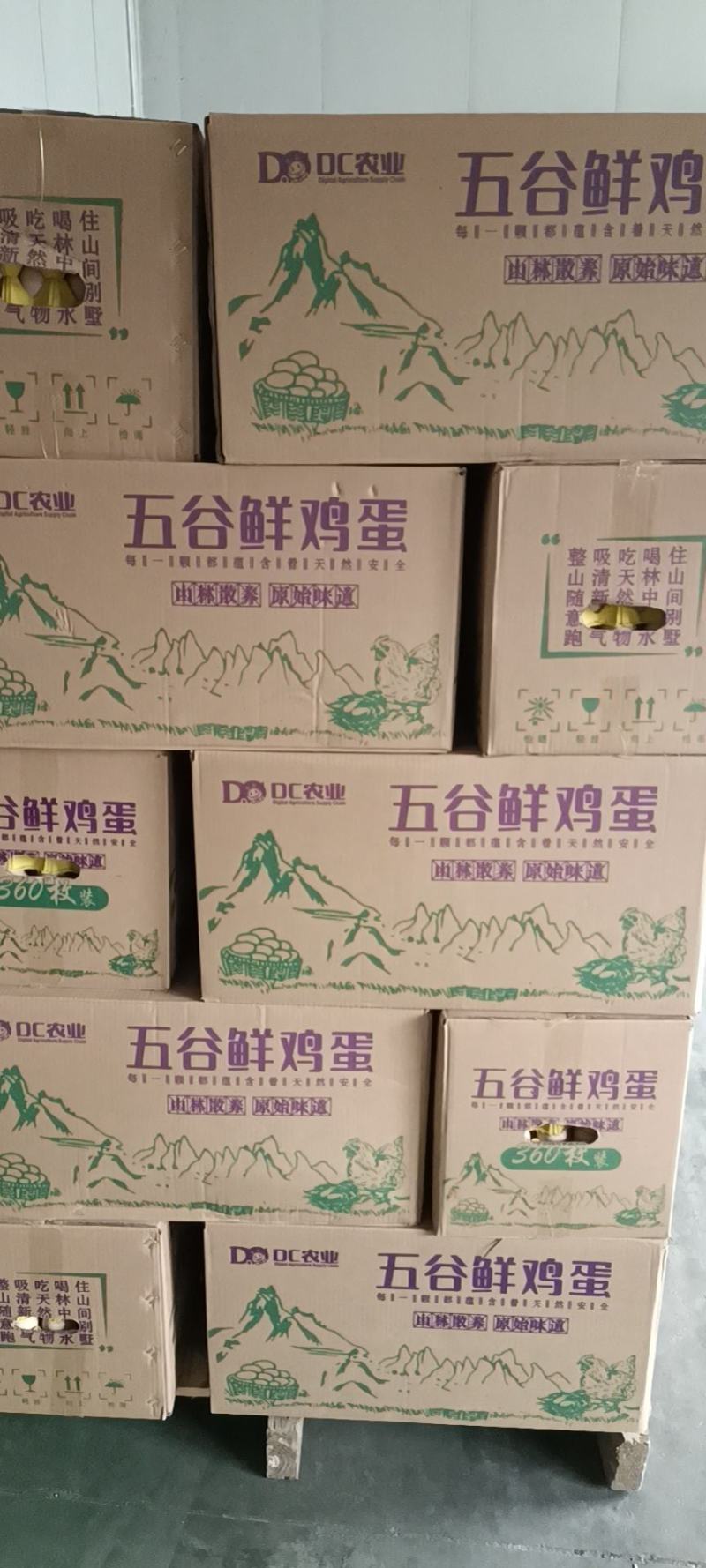五谷鲜鸡蛋，红肉蛋，一等质量