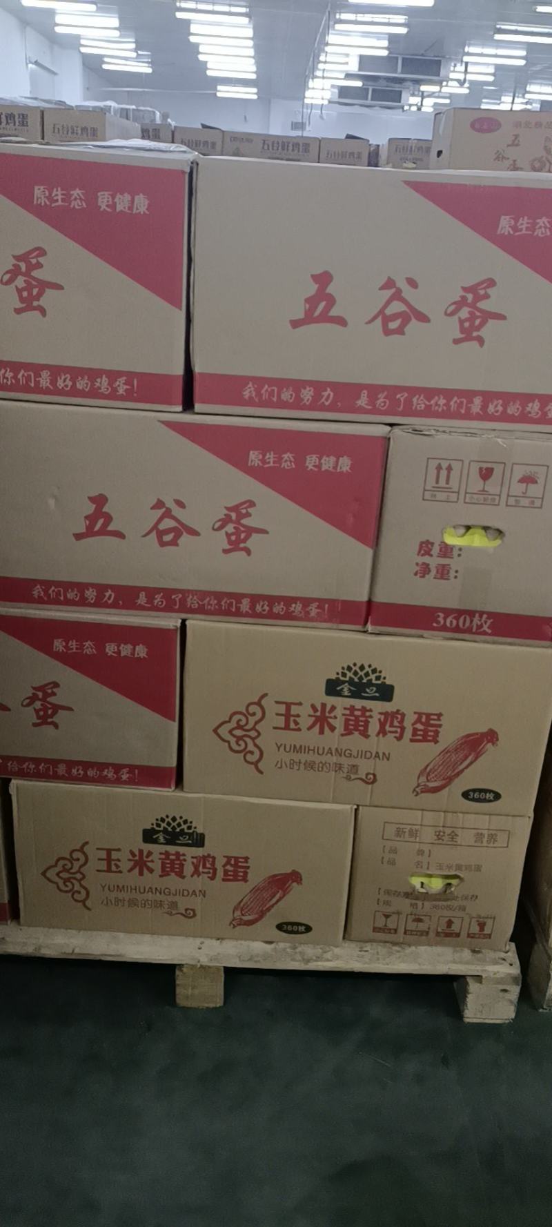 五谷鲜鸡蛋，红肉蛋，一等质量
