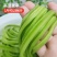 5斤特级无叶贡菜新鲜苔干苔菜农家干货土特产脱水