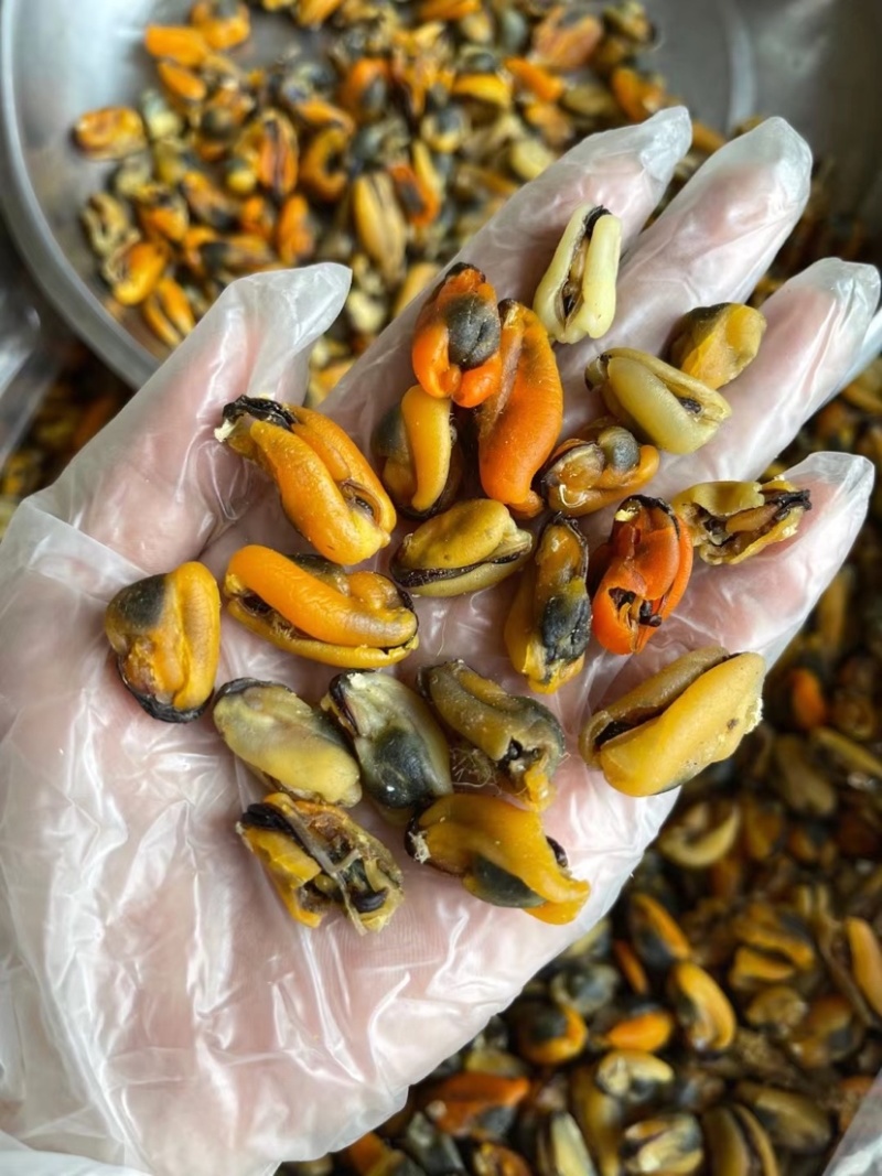 【热卖中】精品淡菜干青口贝壳肉干新货上市规格齐全量大优惠
