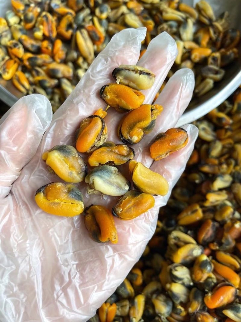 【热卖中】精品淡菜干青口贝壳肉干新货上市规格齐全量大优惠
