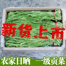 带箱5斤特级无叶贡菜新鲜苔干苔菜农家干货土特产脱水