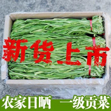 5斤特级无叶贡菜新鲜苔干苔菜农家干货土特产脱水