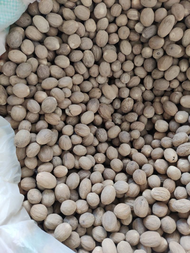 肉豆蔻香料专营肉豆蔻香料肉豆蔻一公斤起批