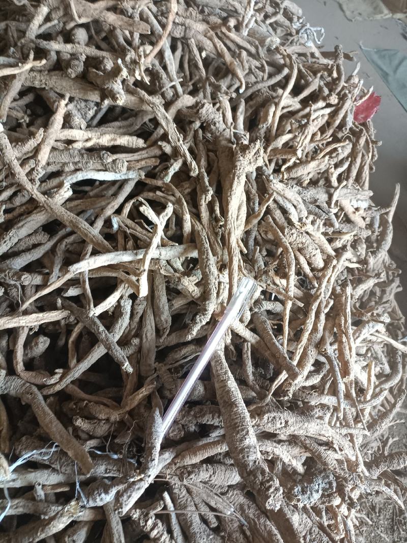 沙参南沙参又称泡参泡酒做汤一一野生批发零售产地直发