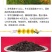 蛇目菊种子，昆仑雪菊天山雪菊花籽盆栽庭院阳台四季播种花卉