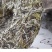 2019年花香牡丹福鼎干仓白牡丹300克一级牡丹饼