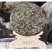 2019年花香牡丹福鼎干仓白牡丹300克一级牡丹饼