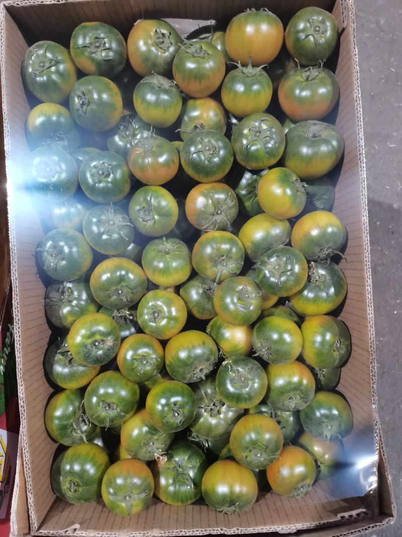 草莓柿子！激动的心颤抖的手！想要啥来啥都有！