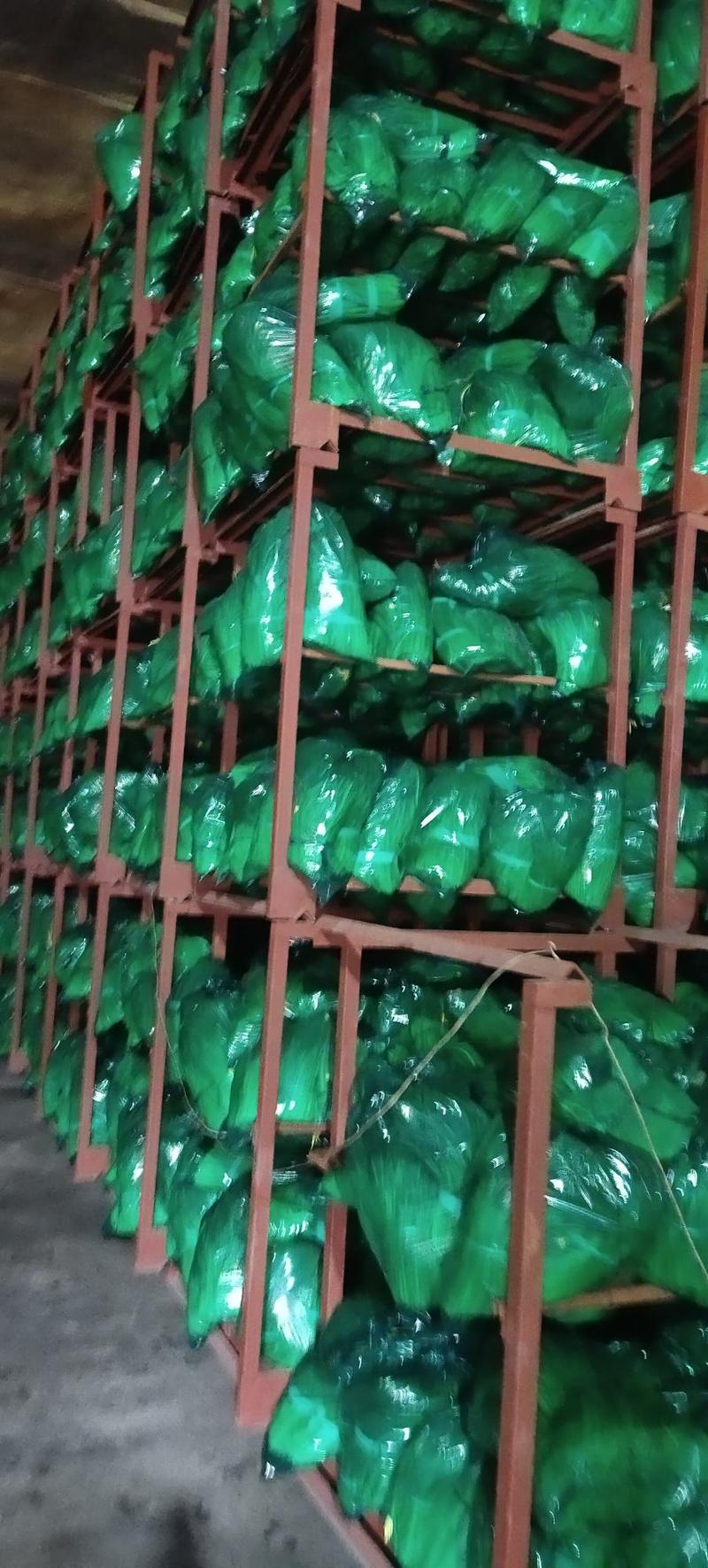 邳州市红帽蒜薹冷库大量有货，大量供应市场，电商，代储代购