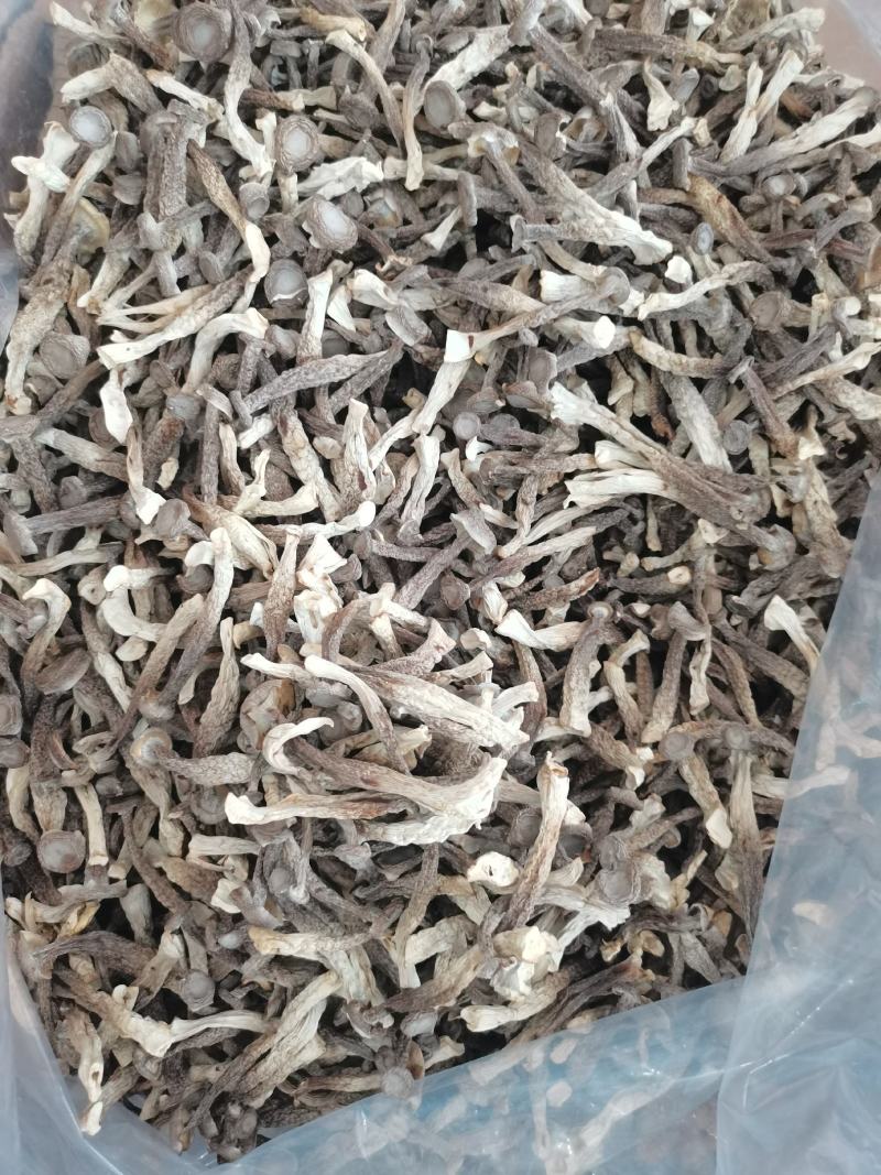 古田精选鹿茸菌量大运费商议请按购买数量拍否则不发货谢谢