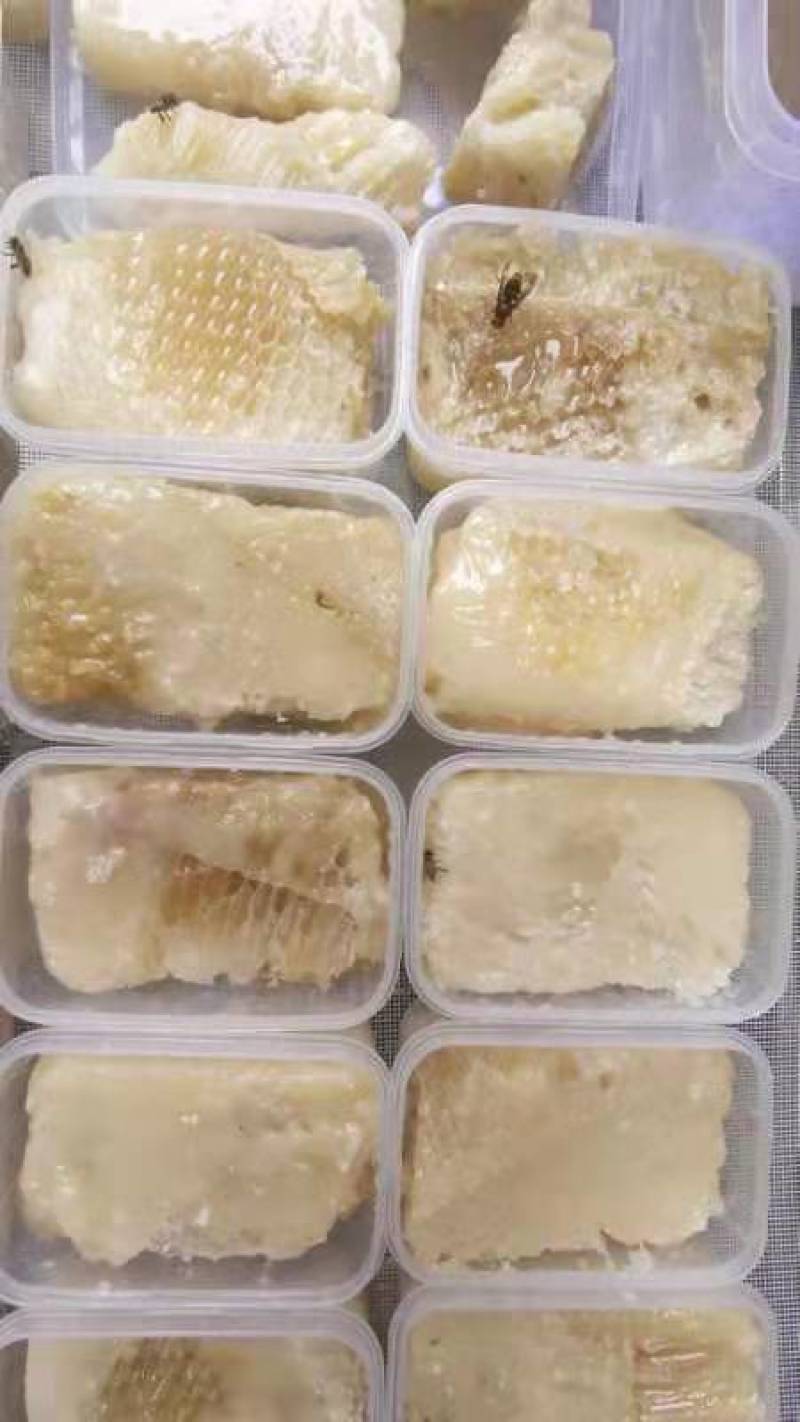 土蜂蜜，野生蜂蜜，深山老林产的雪蜜