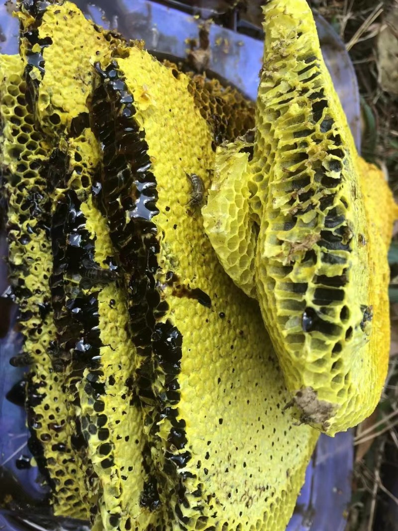 野生蜂蜜，百花蜜，土蜂蜜，米团花高山黑蜂蜜，雪蜜，悬崖蜜