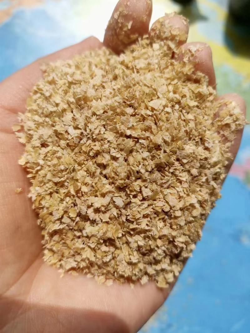 大片麸皮，片大质优价廉，小吨位可发，出货及时