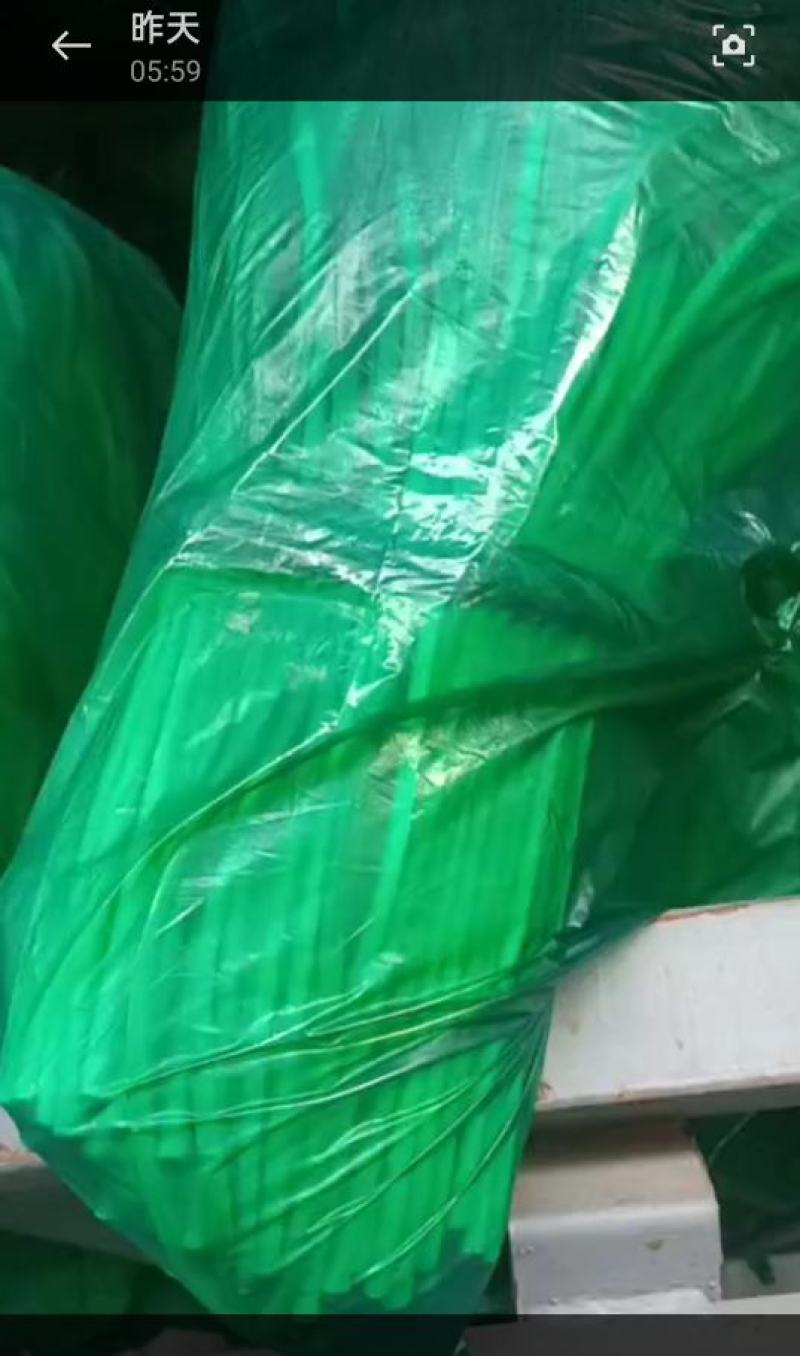 邳州精品红帽蒜苔已大量出库中欢迎新老客户咨询下单价格低