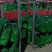邳州精品红帽蒜苔已大量出库中欢迎新老客户咨询下单价格低