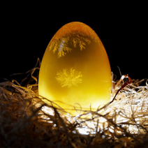 鸭皮蛋松花皮蛋黄金皮蛋草木灰皮蛋溏心皮蛋变蛋