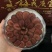 长白山鹿茸片+鹿鞭片礼盒干鹿茸东北纯正源头批发直销一件代
