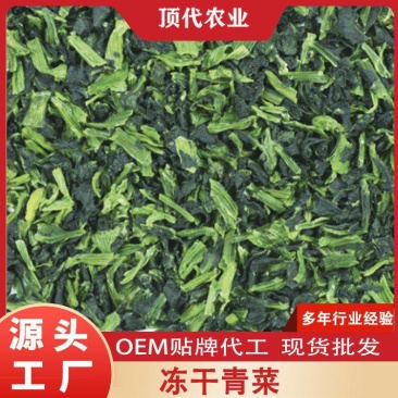 脱水青梗菜脱水青菜批发小青菜冷冻干燥现货批发